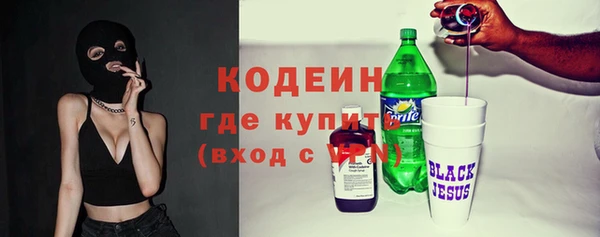 apvp Бородино