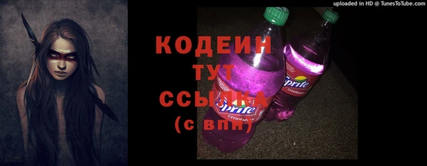 apvp Бородино