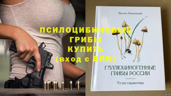 apvp Бородино