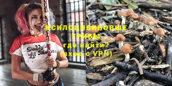 spice Бугульма