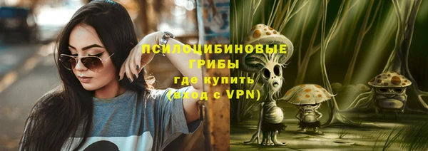 spice Бугульма